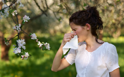 Do I Have Springtime Allergies or a Sinus Infection?